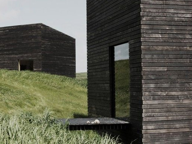 The Benefits of Charred Timber